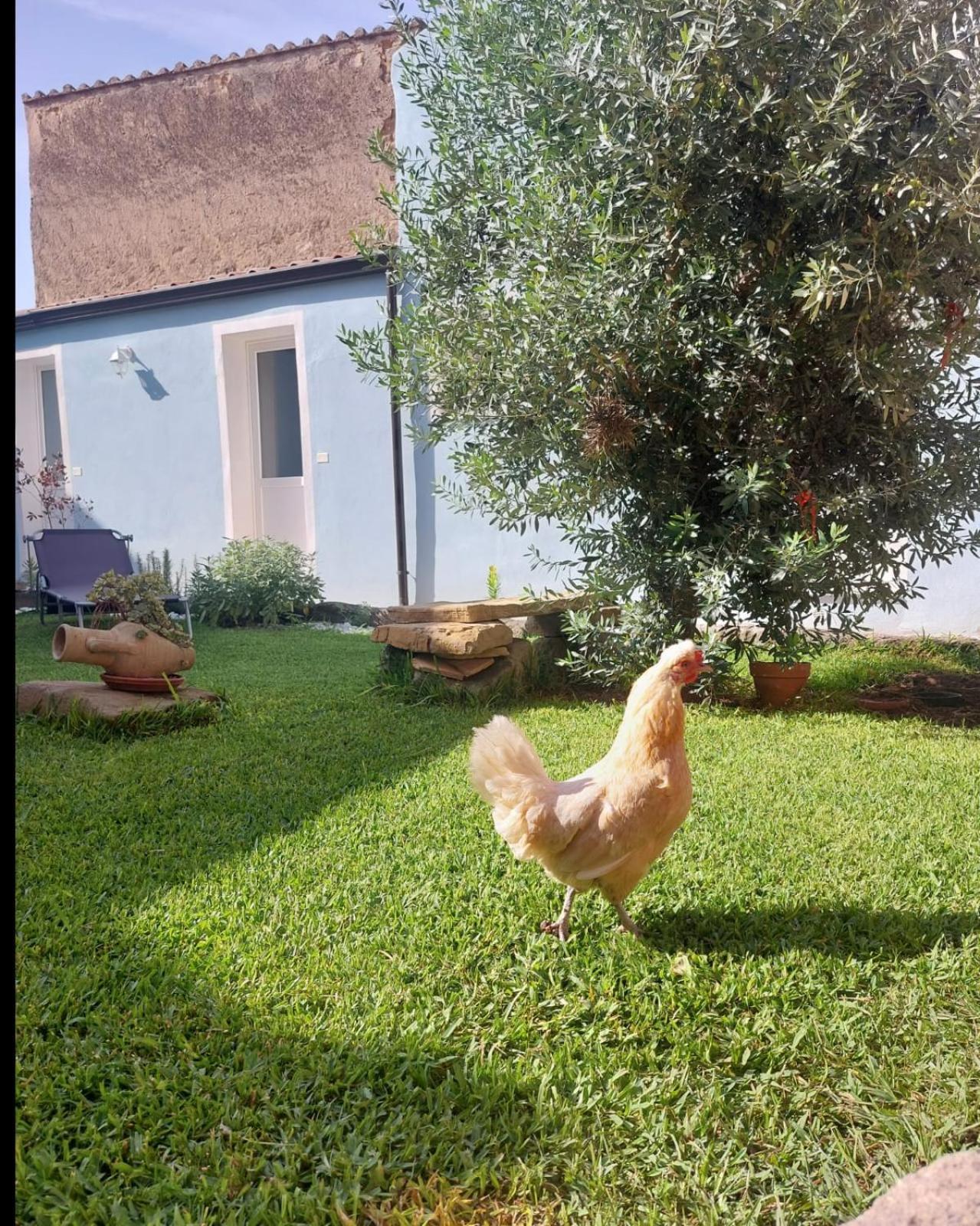 B&B Il Borgo Delle Emozioni Dolianova Exterior foto